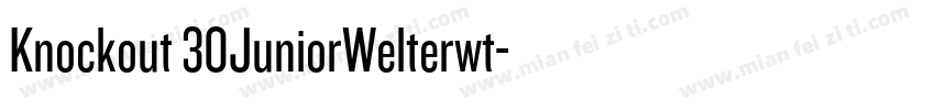 Knockout 30JuniorWelterwt字体转换